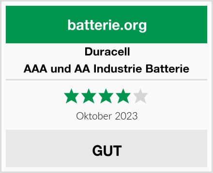 Duracell AAA und AA Industrie Batterie Test